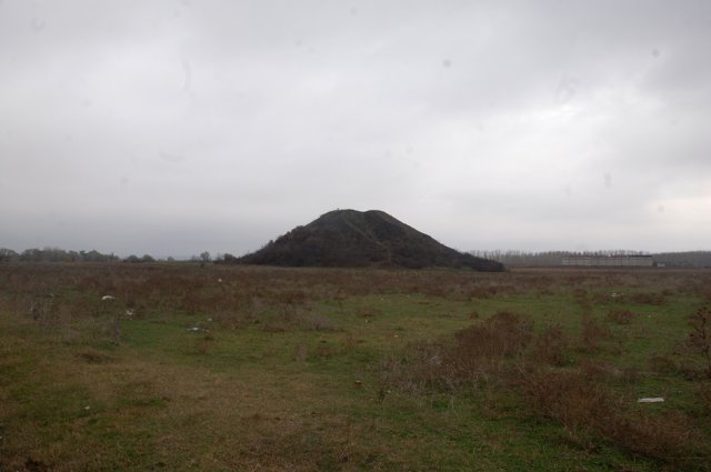 DSC_9220-1