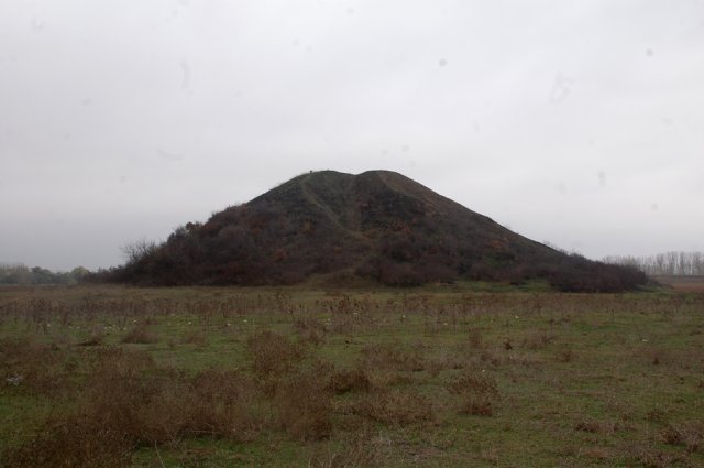 DSC_9222-1