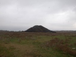 DSC_9220-1