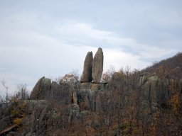 DSC_3857-1