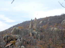 DSC_3862-1~0