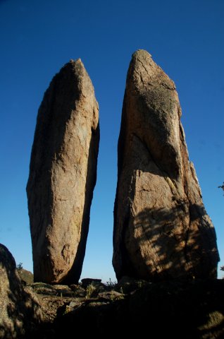DSC_3570-1