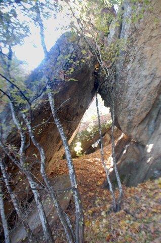 DSC_3582-1