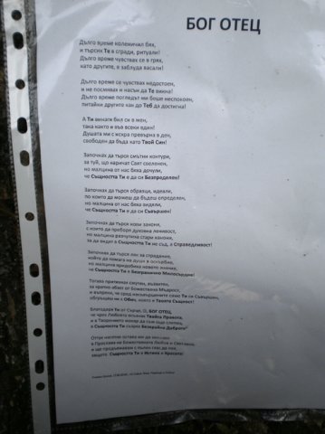 P6060381-1