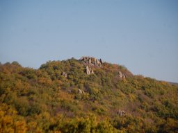 DSC_3513-1