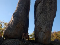 DSC_3533-1