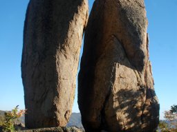 DSC_3572-1
