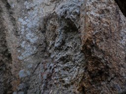 DSC_5911-1