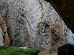 DSC_5912-1