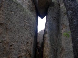 DSC_5920-1