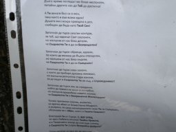 P6060381-1
