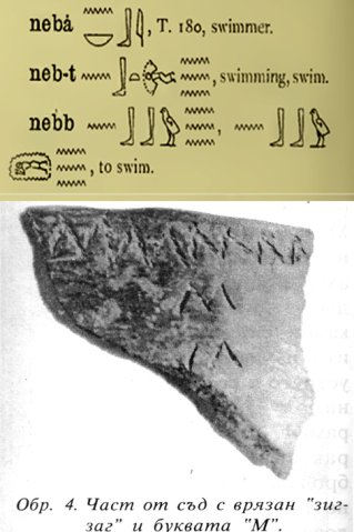 Neb-t_swimming