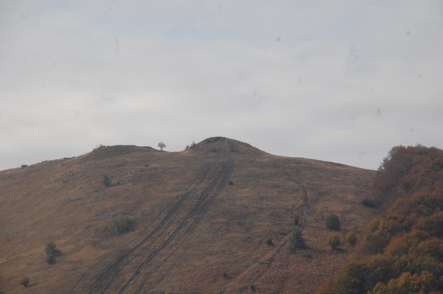 DSC_8316