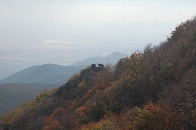 DSC_8328~0