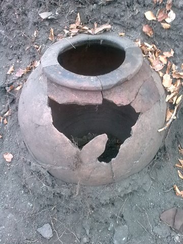 Изображение4695