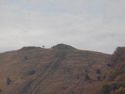 DSC_8316
