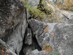 DSC_8370