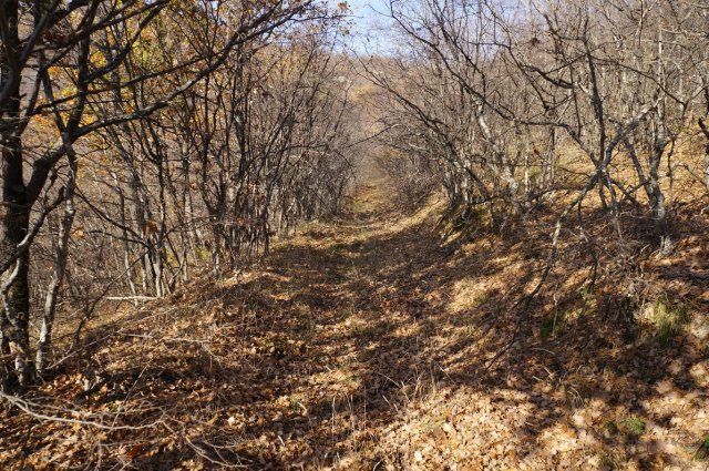 DSC05655