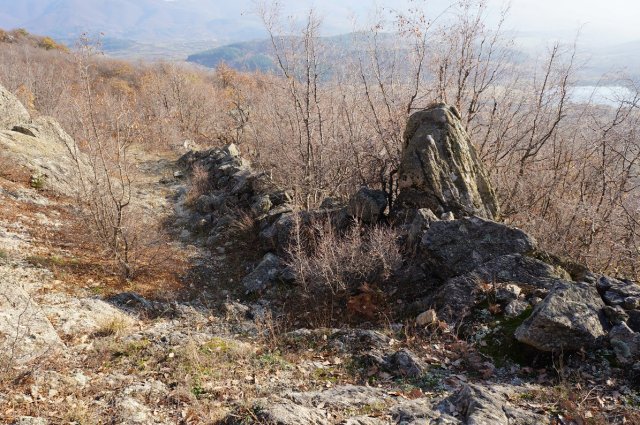 DSC05657