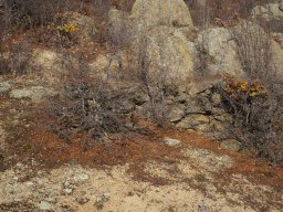 DSC05635