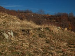 DSC_3639-1