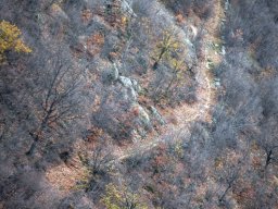 DSC_3881-1