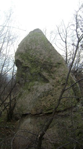 Алпът Мъдрец1