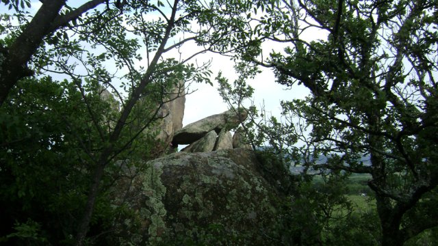 DSC01562-1