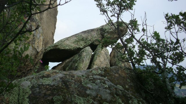 DSC01563-1