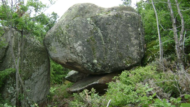 DSC01572-1