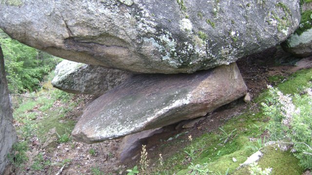DSC01576-1