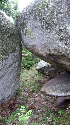 DSC01577-1