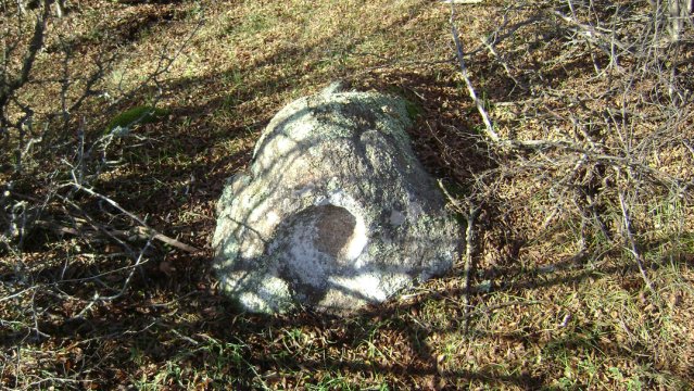 DSC02692-1