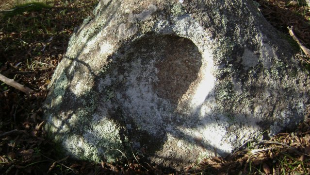 DSC02695-1