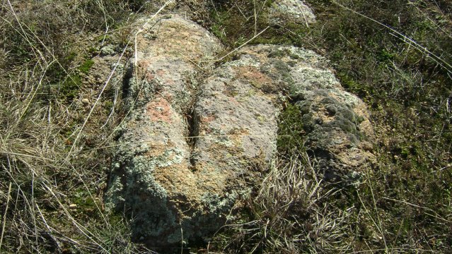 DSC02737-1