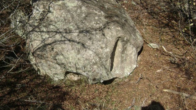 DSC02745-1