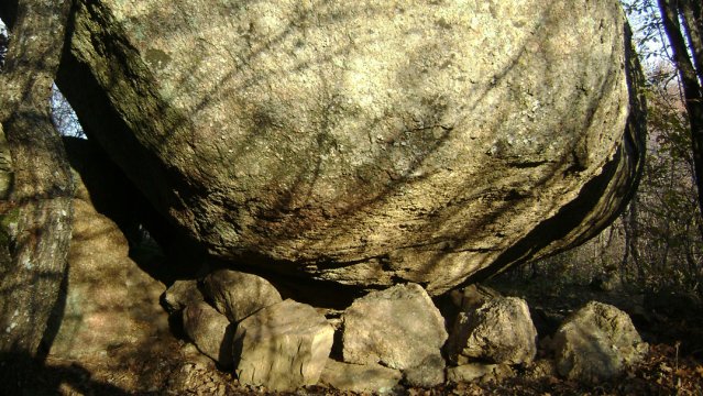 DSC02780-1