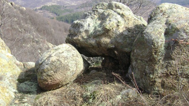 DSC03023-1
