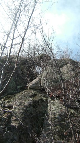 DSC03039-1