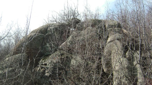 DSC03048-1