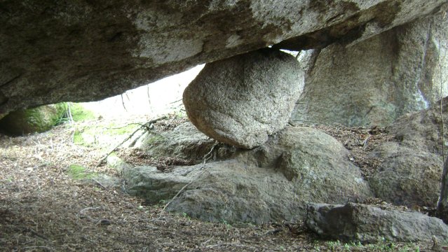 DSC03059-1