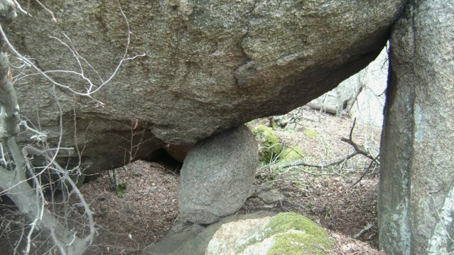 DSC03065-1
