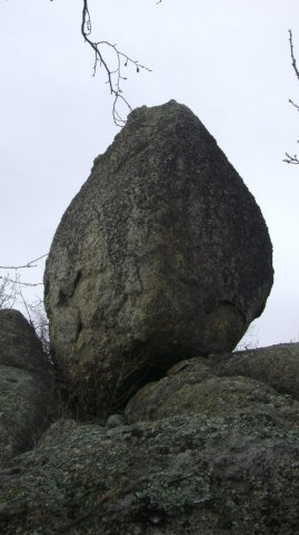 DSC03082-1