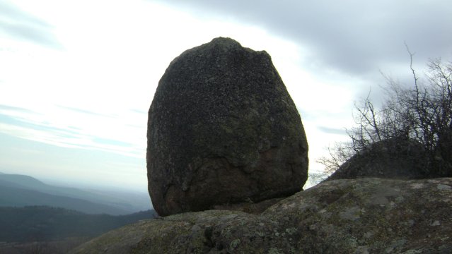 DSC03086-1