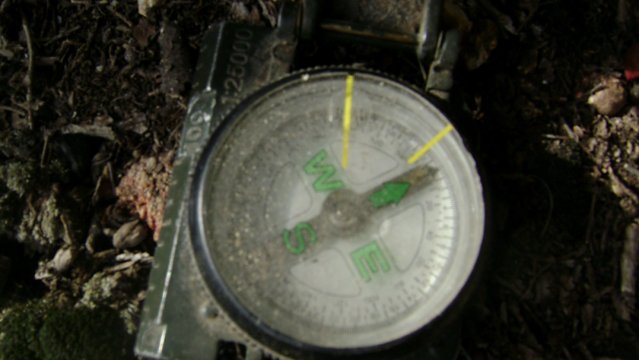 DSC03100-1