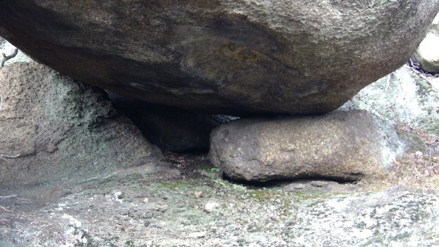 DSC03112-1