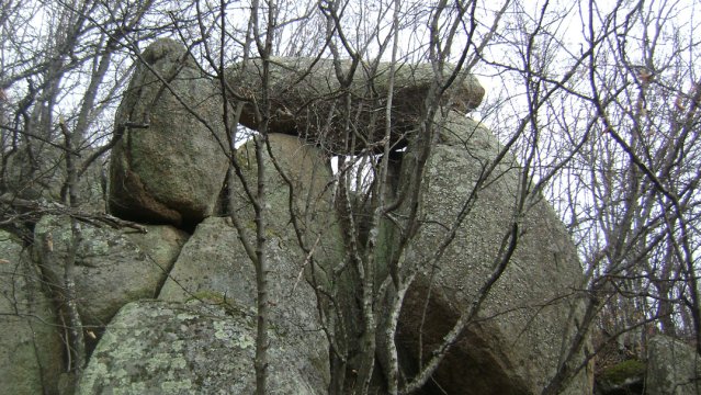 DSC03116-1