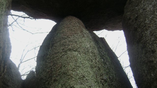 DSC03124-1