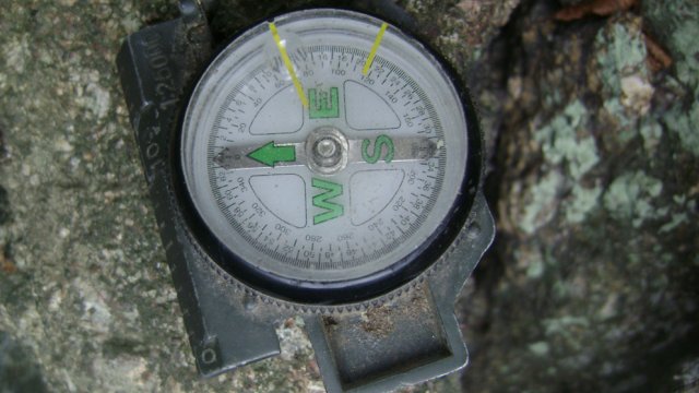 DSC03125-1
