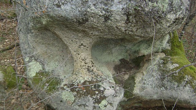 DSC03134-1